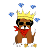 King of dog
