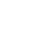 Painter Varnisher Dad