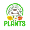Plant Gardening Gardener Landscape Architect