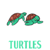 Turtle Owner Gift Turtle Lover