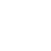 Painter Varnisher Funny