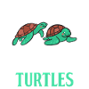 Turtle Owner Gift Turtle Lover