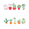 Plant Gardening Gardener Landscape Architect