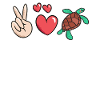 Turtle Owner Gift Turtle Lover