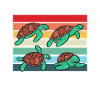 Turtle Owner Gift Turtle Lover