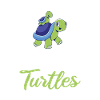 Turtle Owner Gift Turtle Lover
