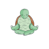 Turtle Owner Gift Turtle Lover