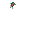 Turtle Owner Gift Turtle Lover