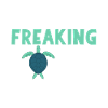 Turtle Owner Gift Turtle Lover