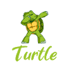 Turtle Owner Gift Turtle Lover