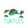 Turtle Owner Gift Turtle Lover
