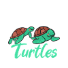Turtle Owner Gift Turtle Lover