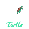 Turtle Owner Gift Turtle Lover