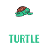 Turtle Owner Gift Turtle Lover