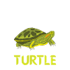 Turtle Owner Gift Turtle Lover