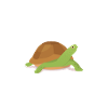 Turtle Owner Gift Turtle Lover