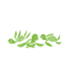 Turtle Owner Gift Turtle Lover