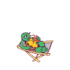 Turtle Owner Gift Turtle Lover