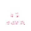 Labradoodle