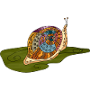 Escargot