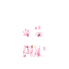 Puli
