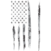 Lit - American Flag