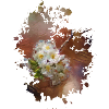 Blume