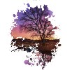 Sonnenuntergang