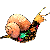 Yakuza Snail