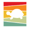 Turtle Retro
