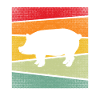 Pork Retro