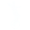 Unicycle