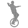 Unicycle