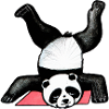 Panda Akrobat auf Matte