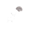 hirsch mit mond