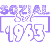 Sozialarbeiter 1963