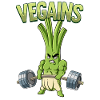 Vegains Vegan Bodybuilding Fitness Gym