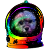 CosmosDog