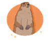 Marmottes Mankai Munggen marmotte cadeau