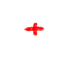 The English football fans