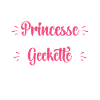 Princesse Geekette