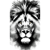 Lion Black and White