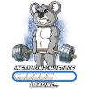 Koala muskelbyggande Bodybuilding Fitness Gym