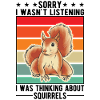 Squirrel Gift Grey Squirrel