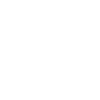 Chinese American