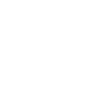Chinese language