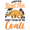 Coati Gift Proboscis Coati
