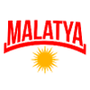 Malatya Kurd