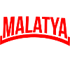 Malatya alevi