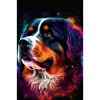 Bernese Mountain Dog Galaxy